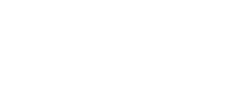 Vereniging Veiligheidsdomein Nederland (VVNL)
